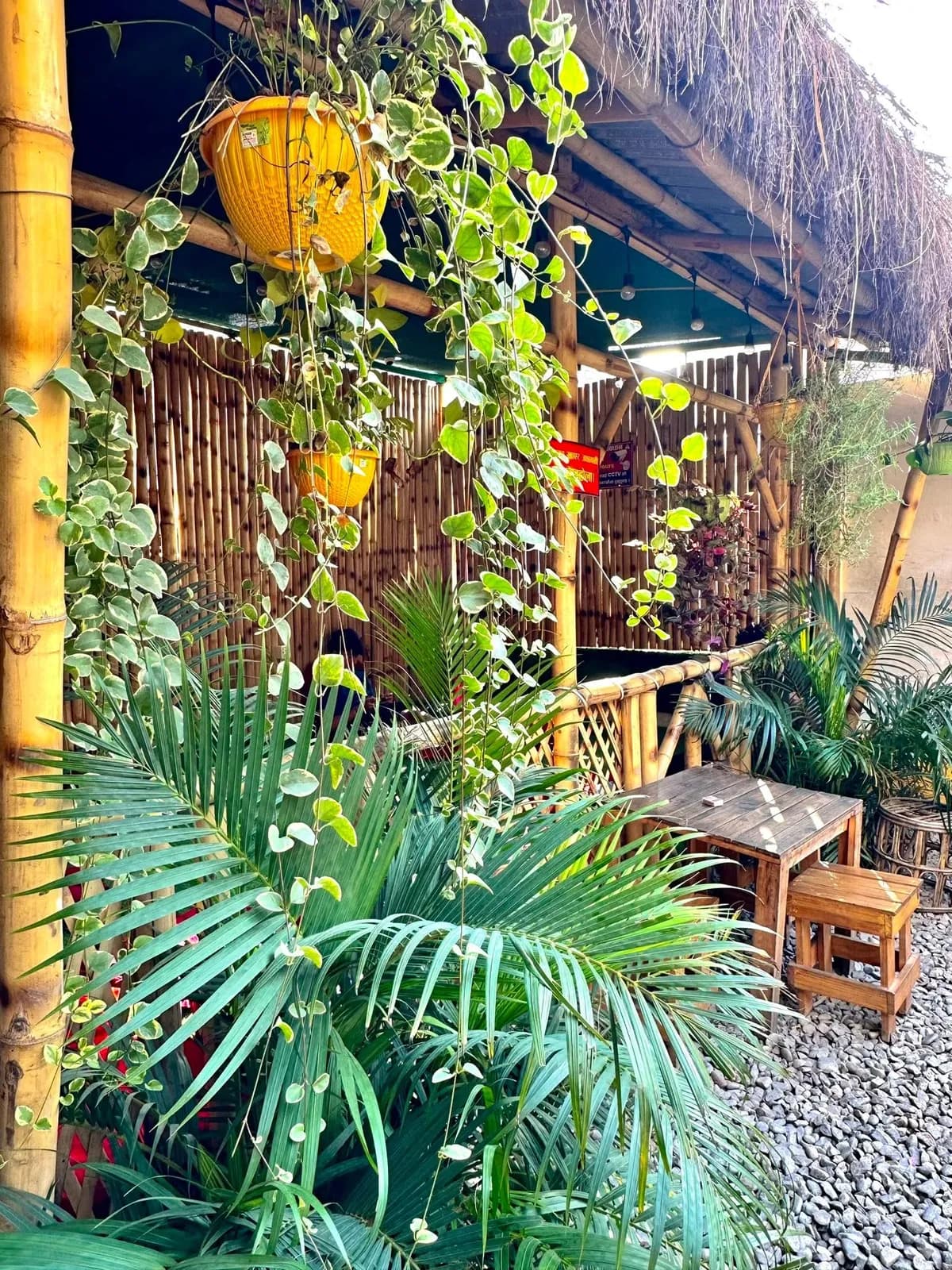 Green corners at Chiya Table